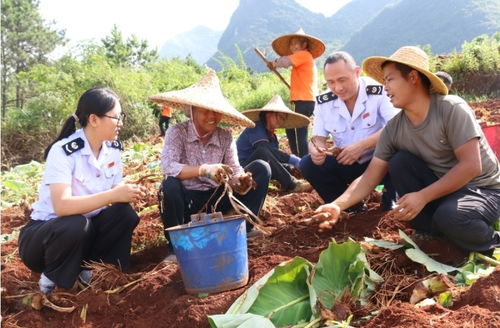 清远连州 税惠精准助力 点亮新 硒 望