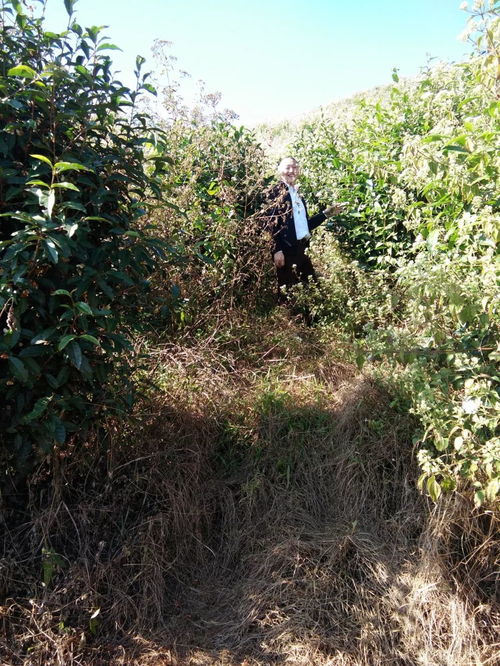 他从药企高管 高富帅 到返乡农夫 白头翁 ,10年3000万砸进有机农业,产品出口西亚欧洲,奏响一首不屈的有机交响乐
